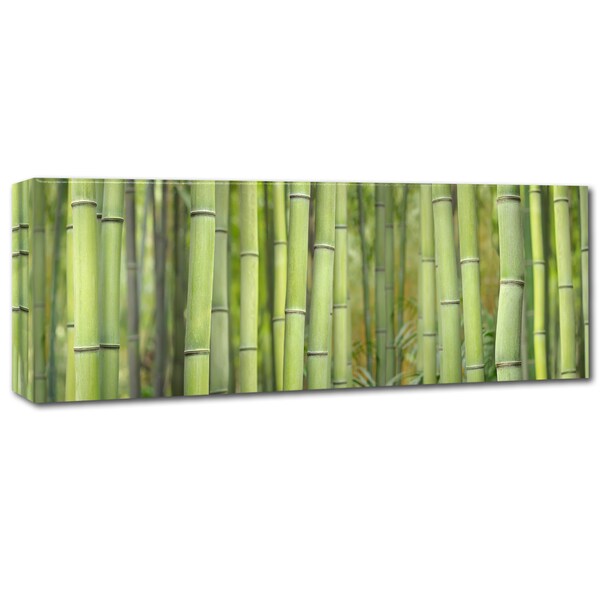 Cora Niele 'Bamboo Scape' Canvas Art,6x19